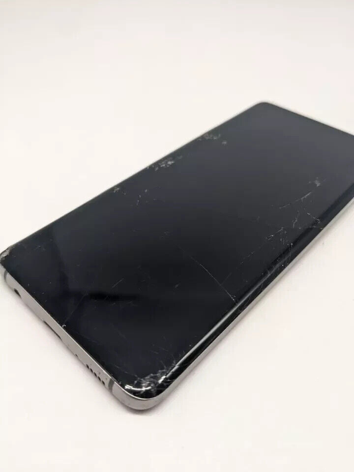 Samsung Galaxy S10 SM-G973F/DS Dual Sim | DISPLAY DEFEKT 