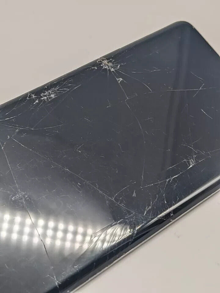 Samsung Galaxy S10 SM-G973F/DS Dual Sim | DISPLAY DEFEKT 