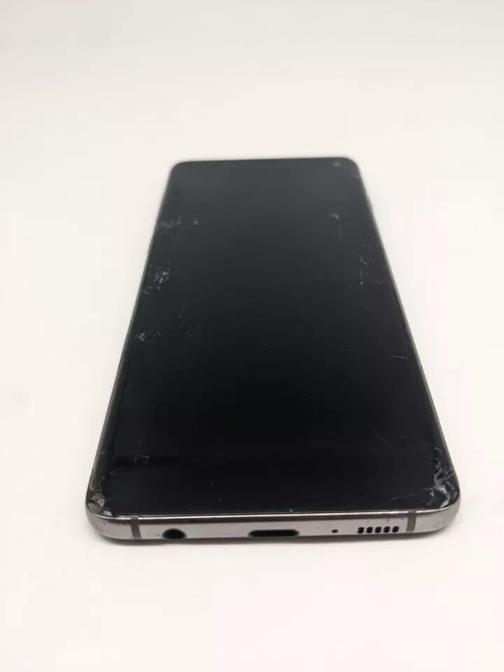 Samsung Galaxy S10 SM-G973F/DS Dual Sim | DISPLAY DEFEKT 