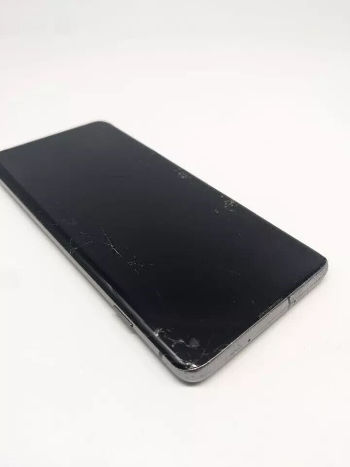 Samsung Galaxy S10 SM-G973F/DS Dual Sim | DISPLAY DEFEKT 